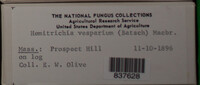Image Associated With the Occurence